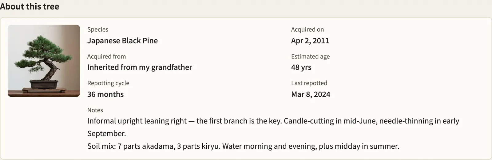 A tree's page, showing its details, what is due, and the work history.