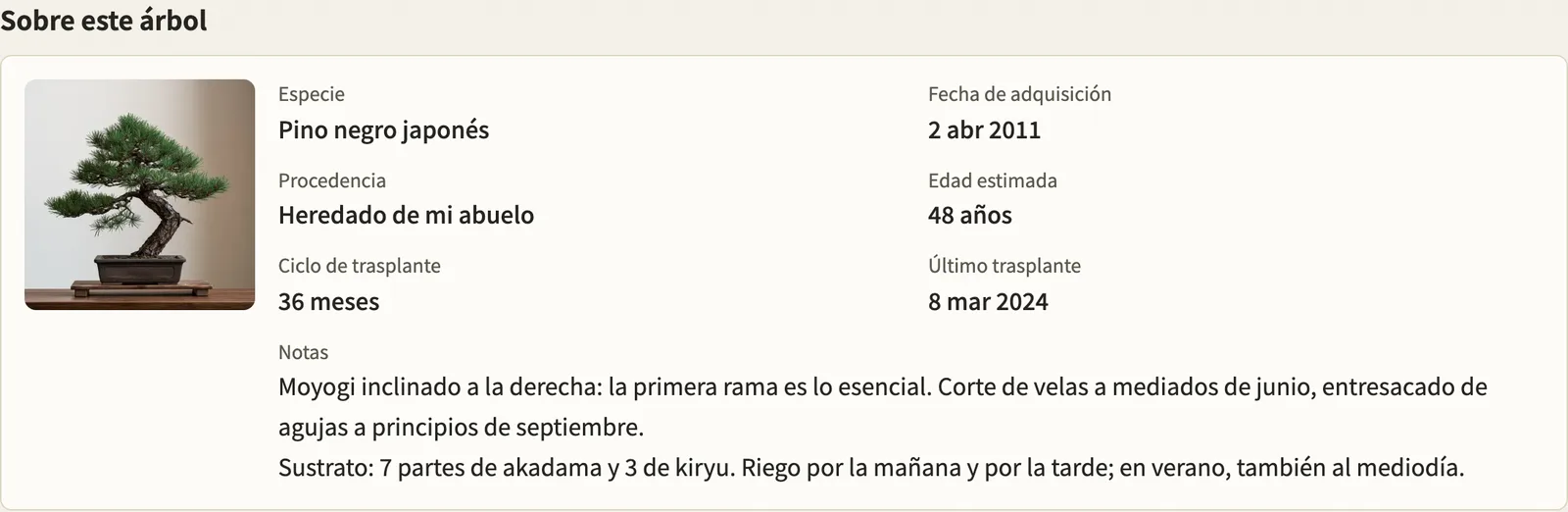 La ficha de un árbol, con sus datos, lo que toca hacer y el historial de trabajos.