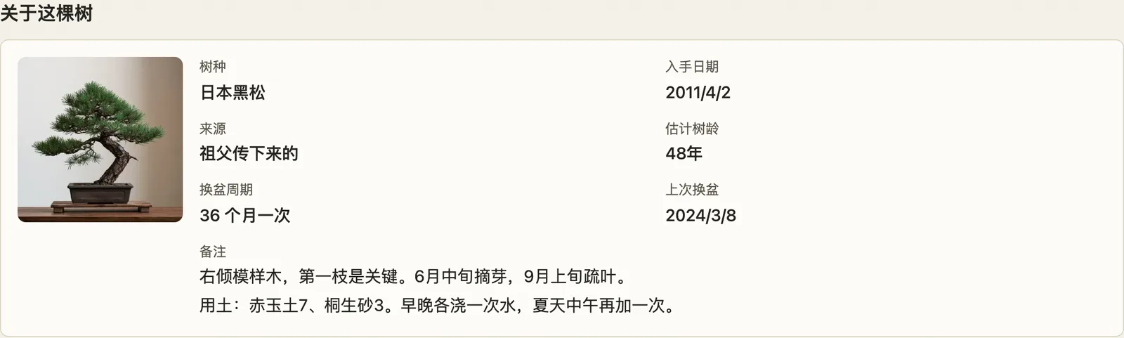 树木详情页面。依次排列着树的信息、待办事项和作业历史。