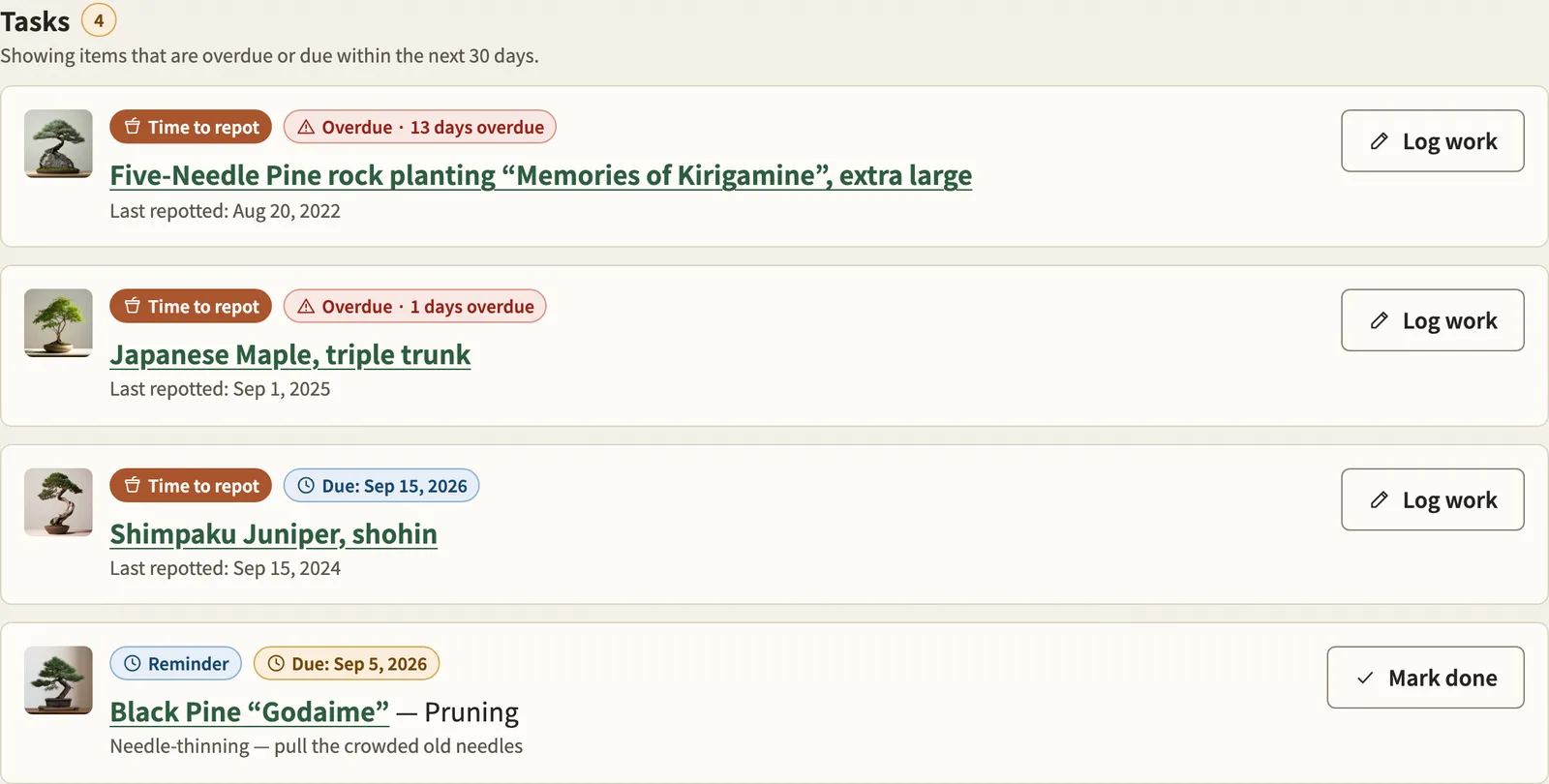 The dashboard task list, each item with its repotting due date.