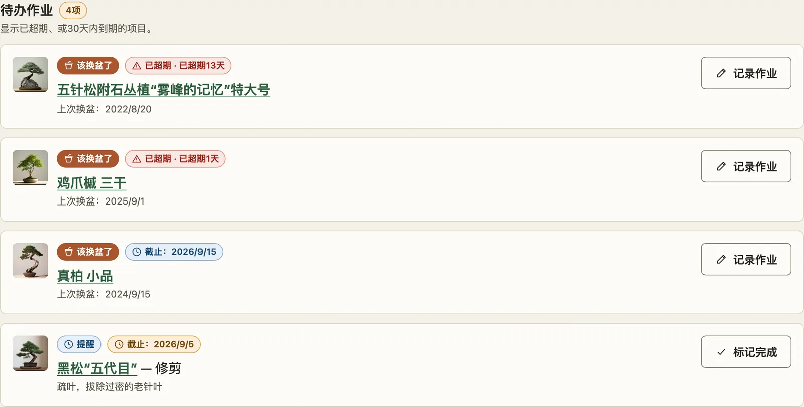 仪表盘的待办作业。每项都带着换盆日期。